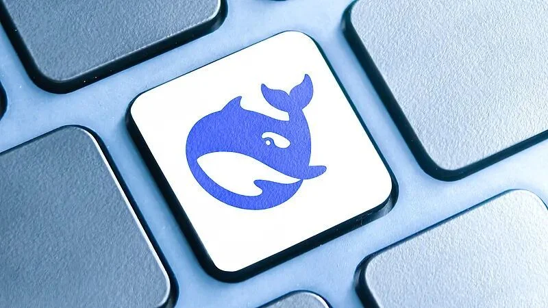DeepSeek 网页版交互体验展示